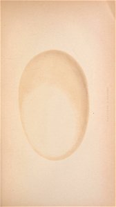 n192_w1150