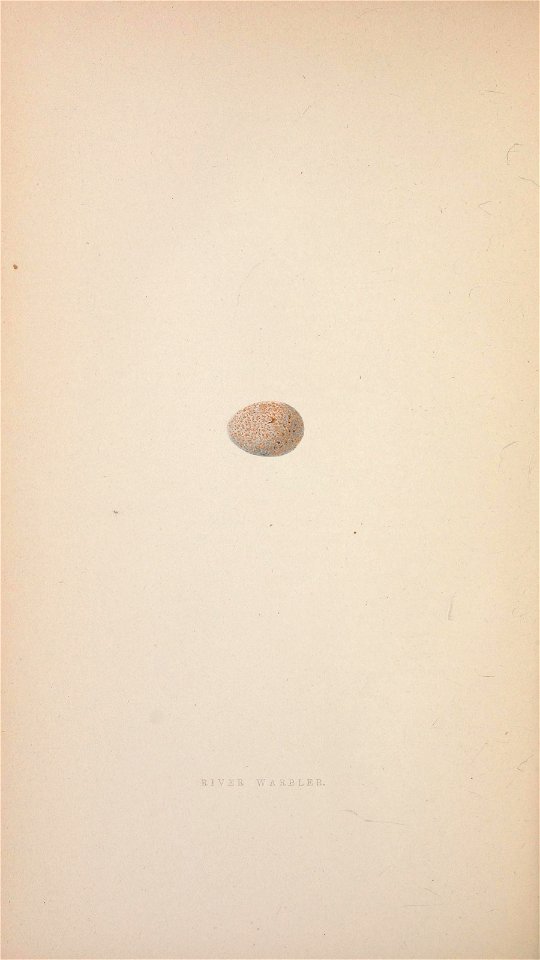 n169_w1150