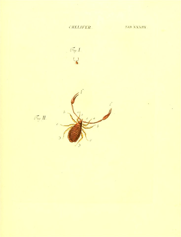 n114_w1150