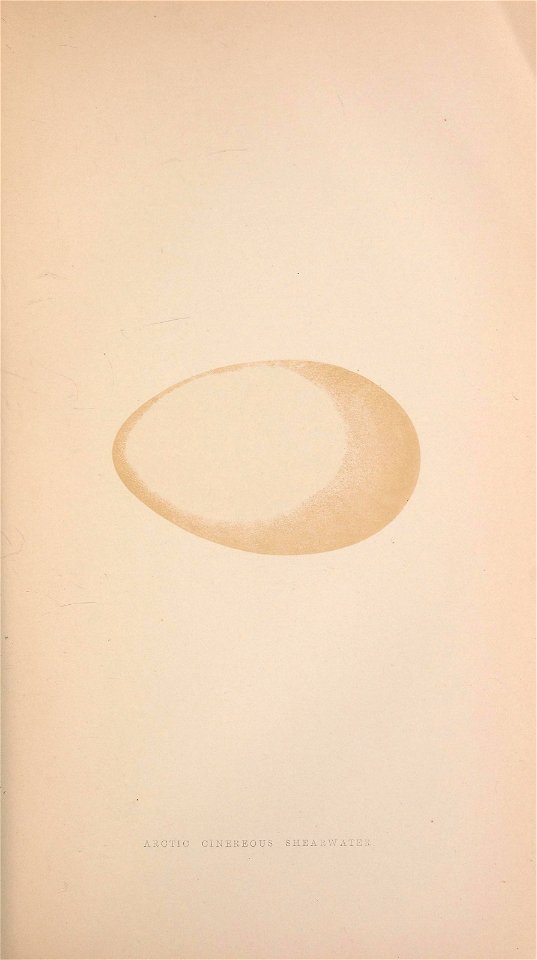 n182_w1150