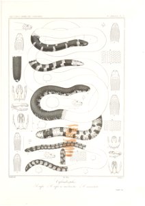 n154_w1150