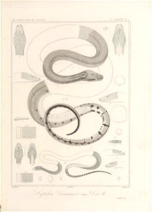 n36_w1150