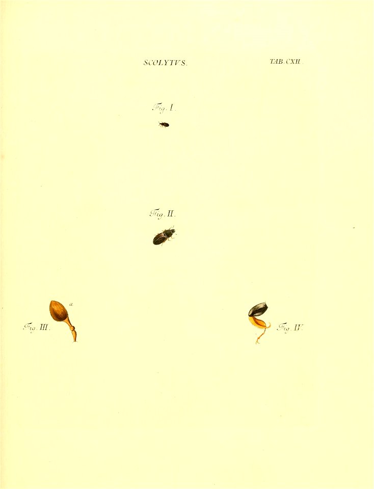 n262_w1150