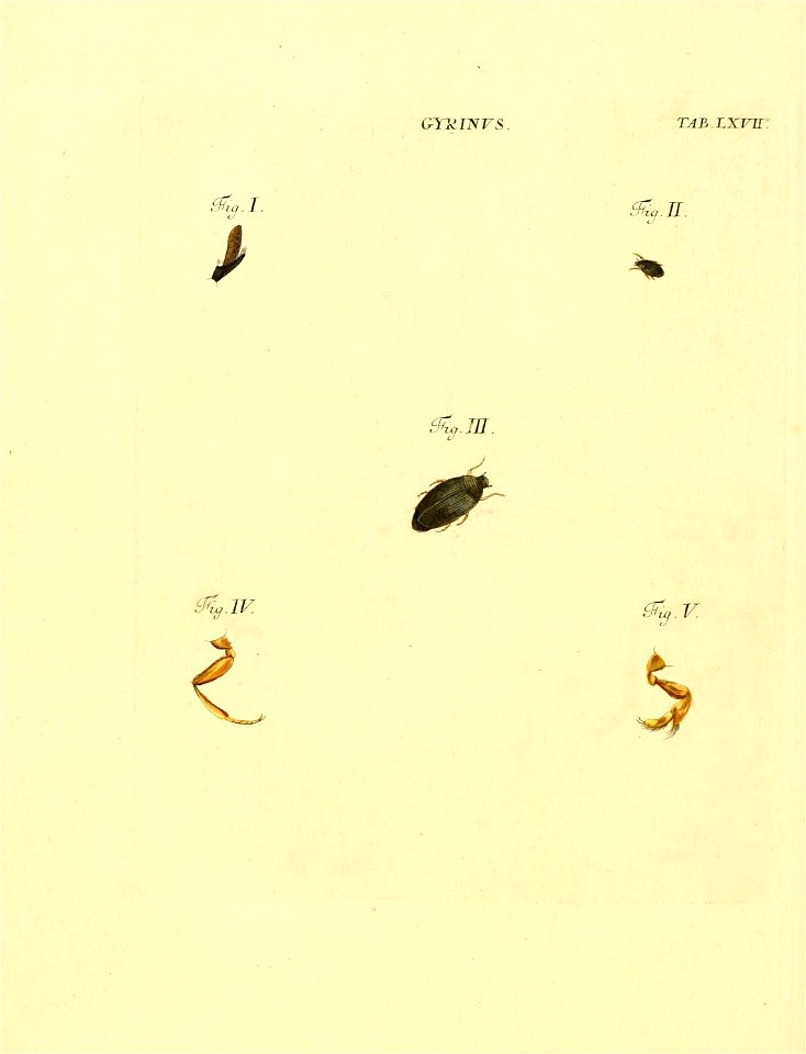 n171_w1150