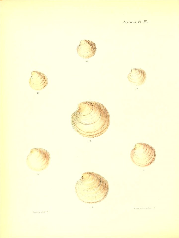 n251_w1150