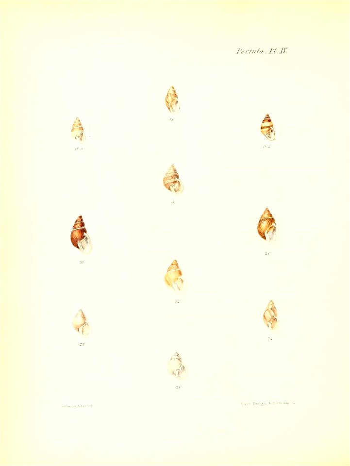 n183_w1150