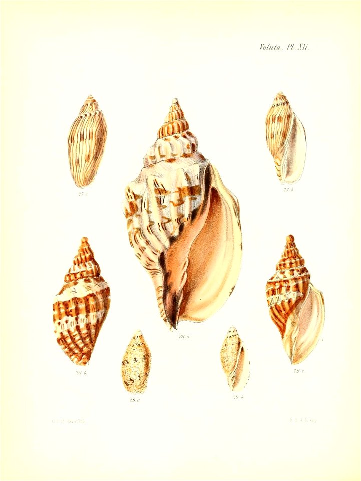 n55_w1150