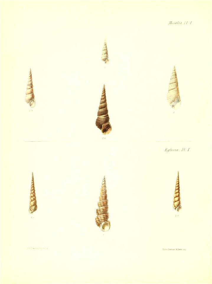 n617_w1150