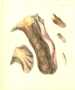 n167_w1150