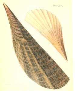 n43_w1150