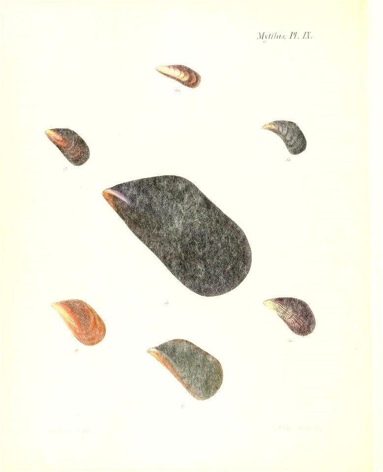 n397_w1150