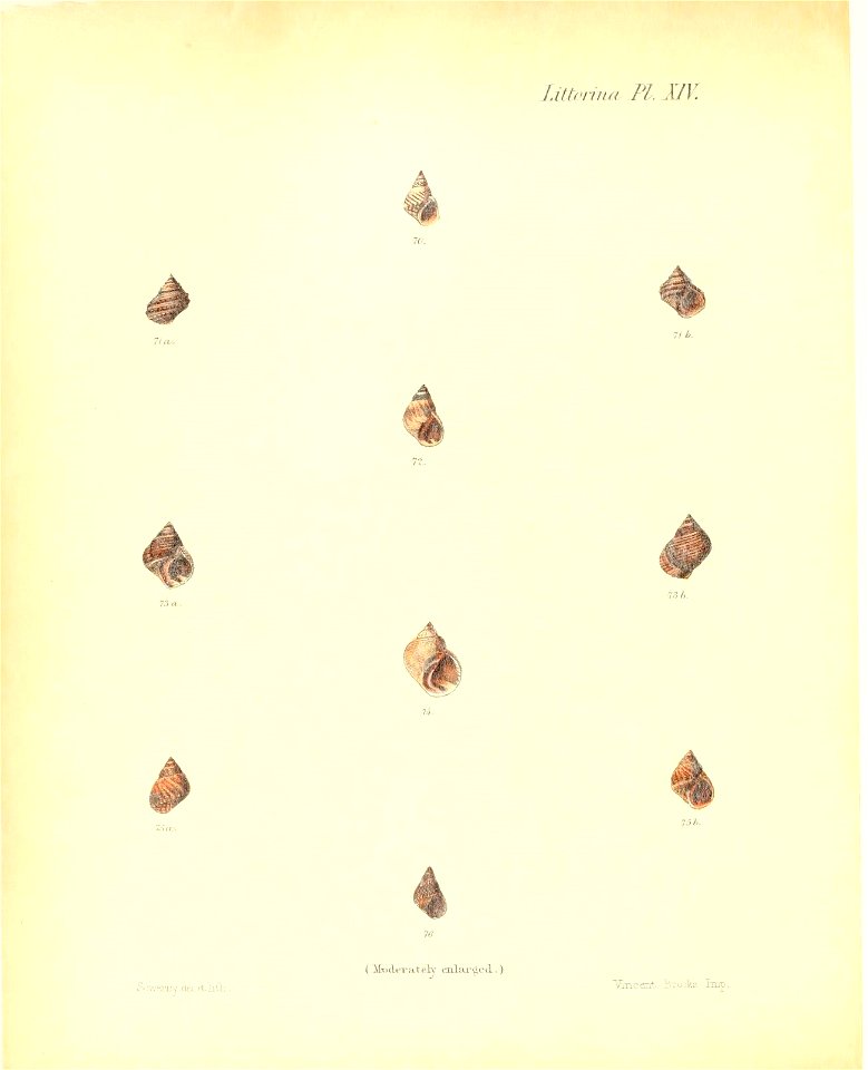 n257_w1150