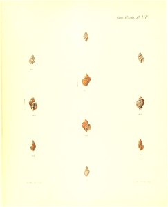 n193_w1150