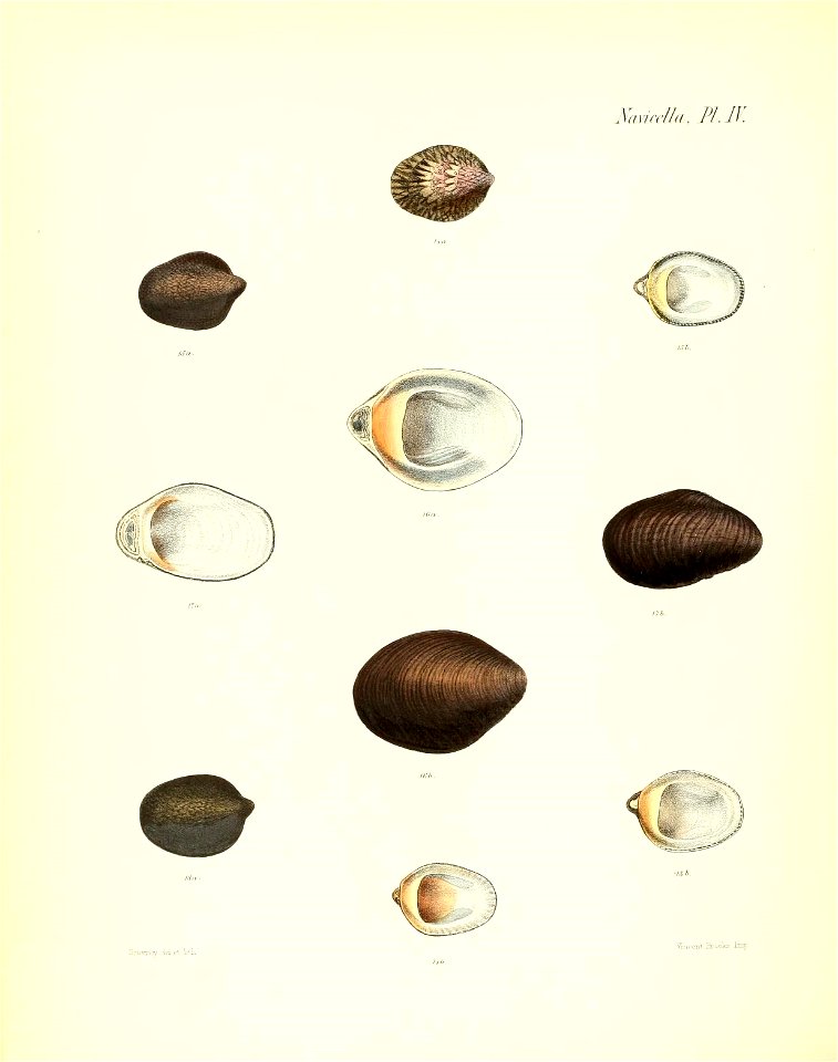 n375_w1150