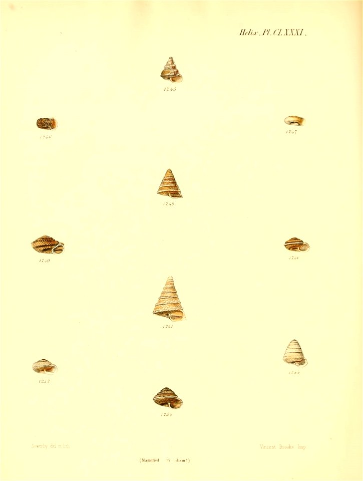 n759_w1150
