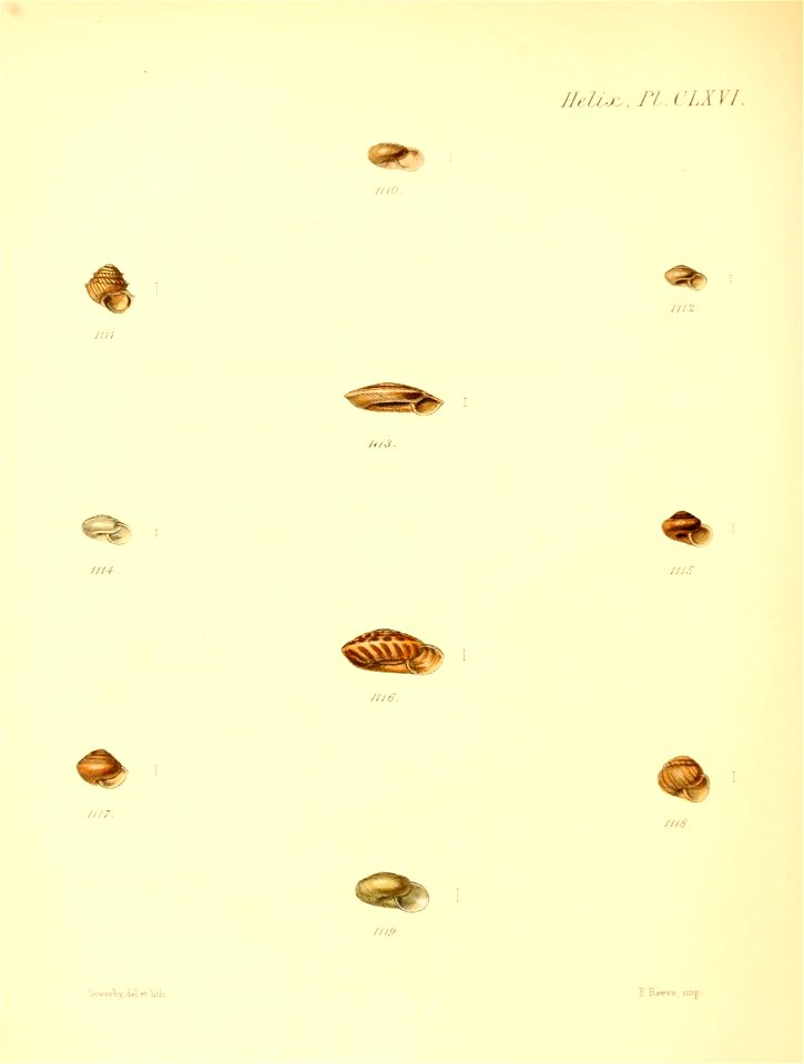 n695_w1150