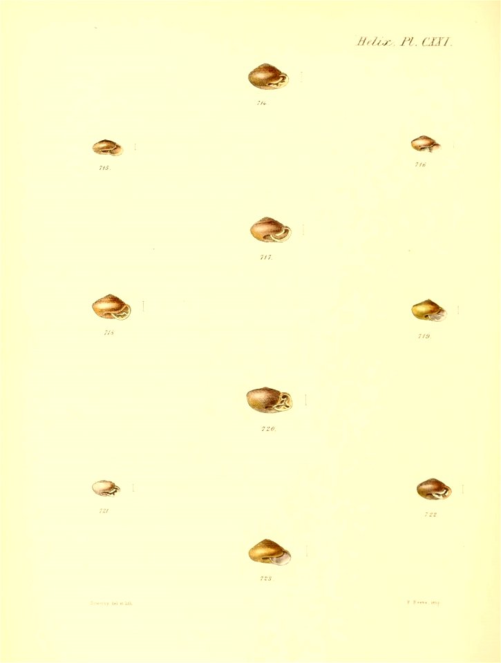 n503_w1150
