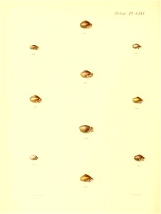 n503_w1150