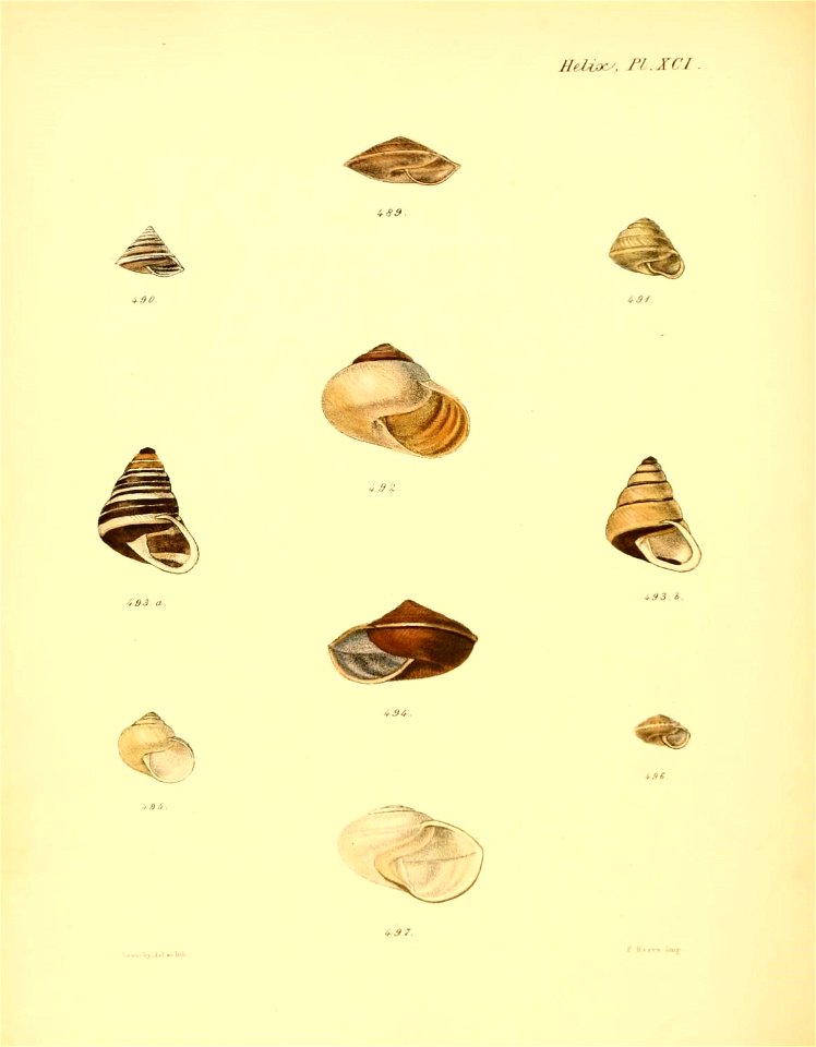 n371_w1150