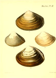 n191_w1150