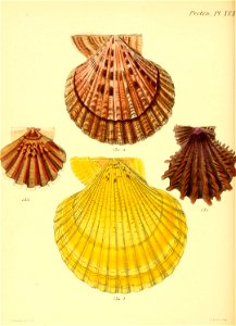 n127_w1150