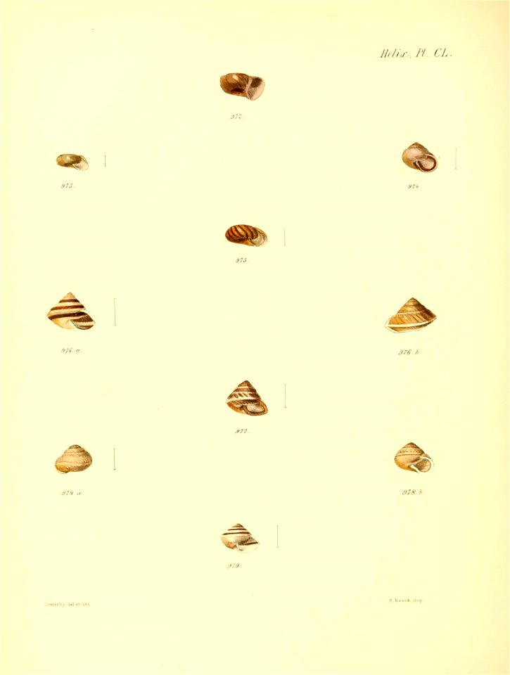 n631_w1150