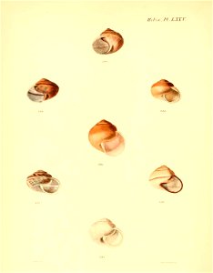 n307_w1150
