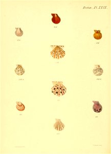 n123_w1150