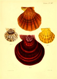 n63_w1150