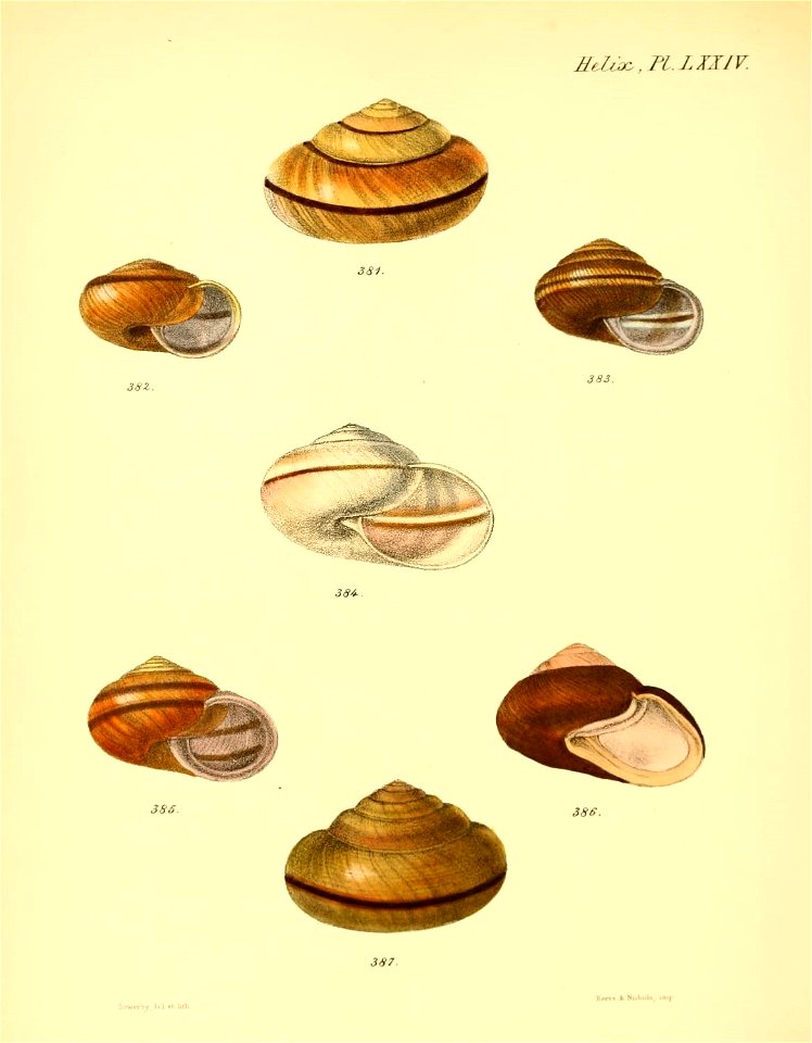 n303_w1150