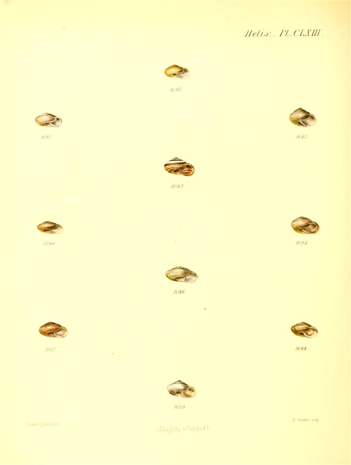 n683_w1150