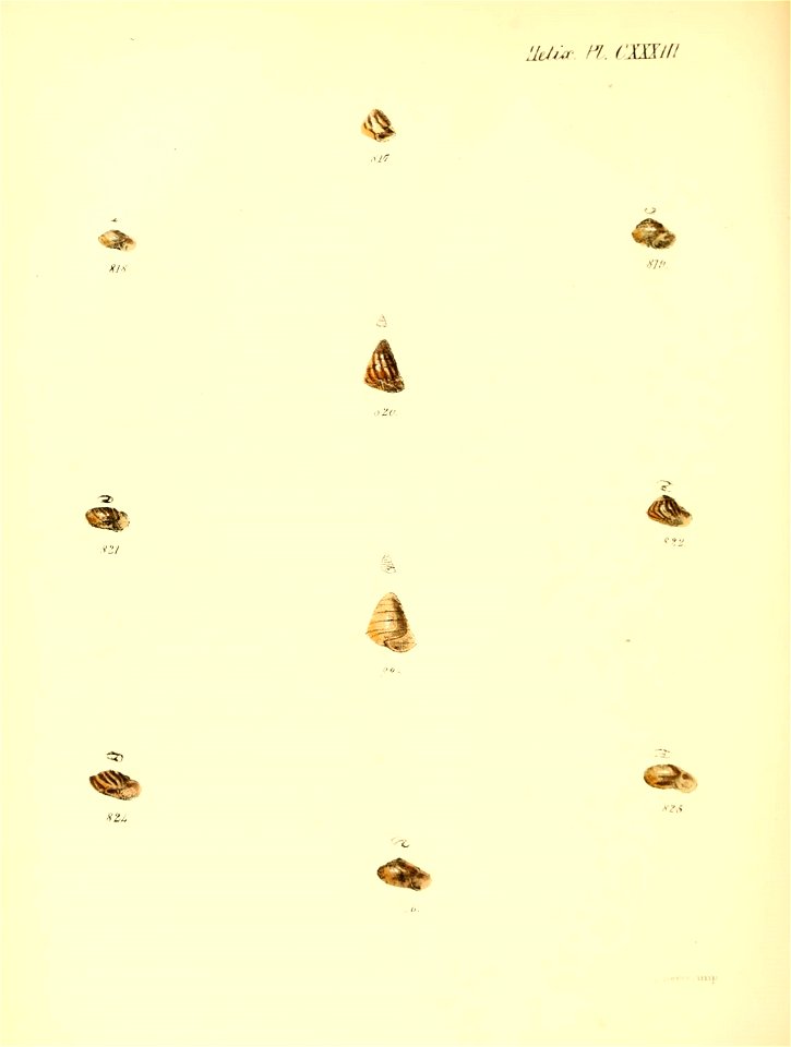 n551_w1150