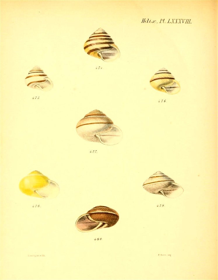 n359_w1150