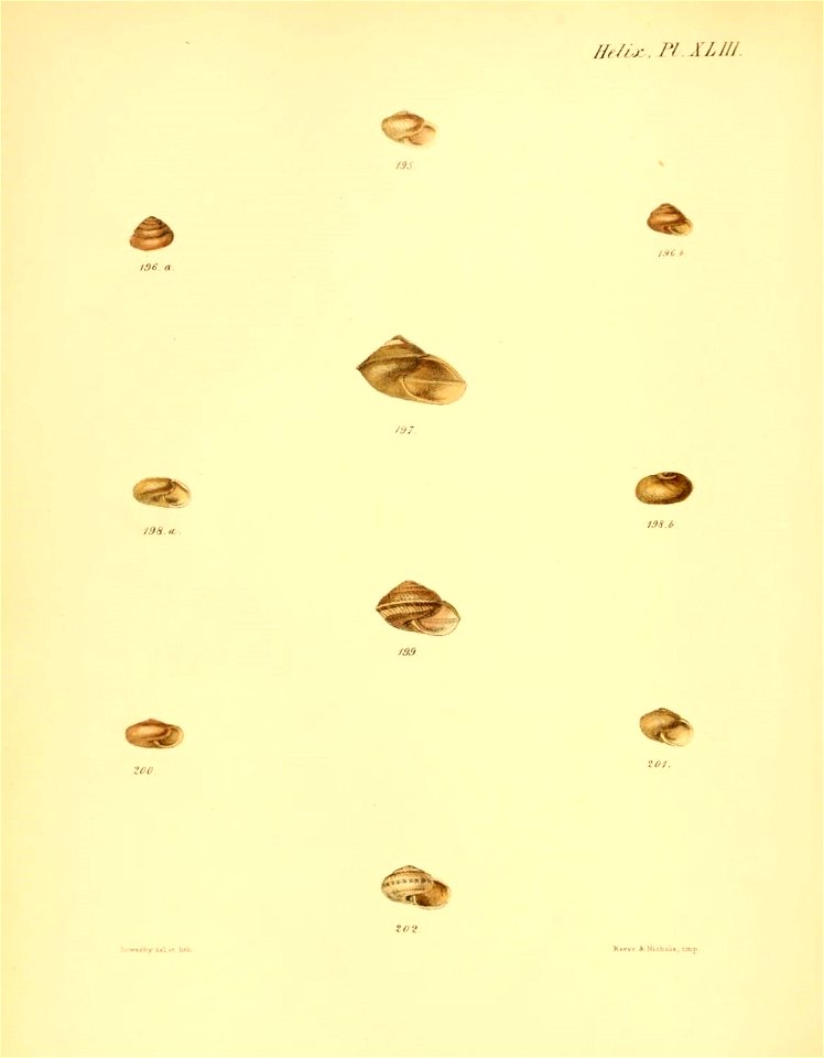 n179_w1150