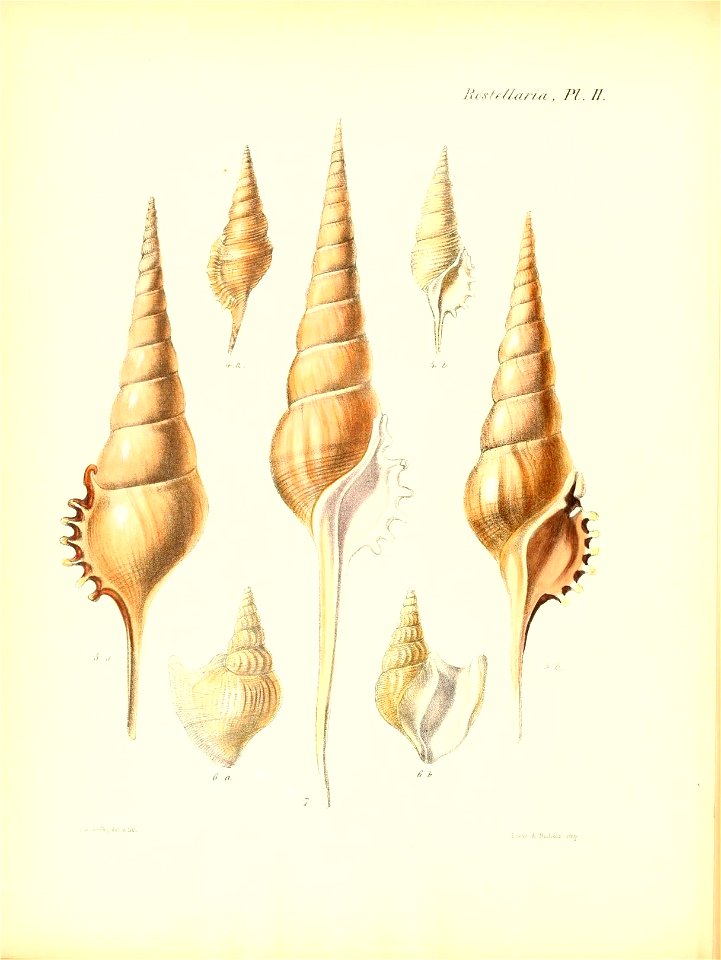 n551_w1150