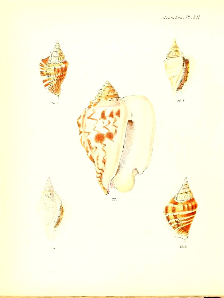 n485_w1150