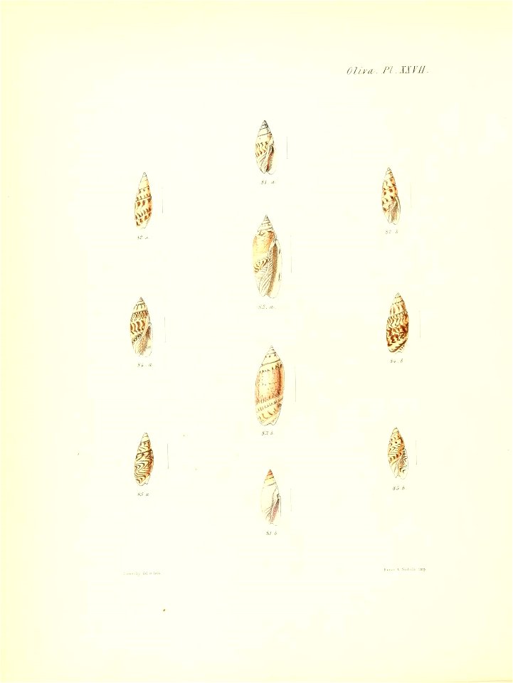 n421_w1150