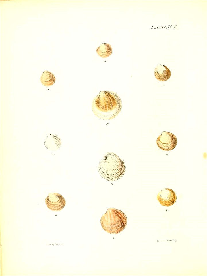 n295_w1150