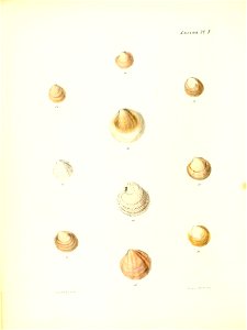 n295_w1150