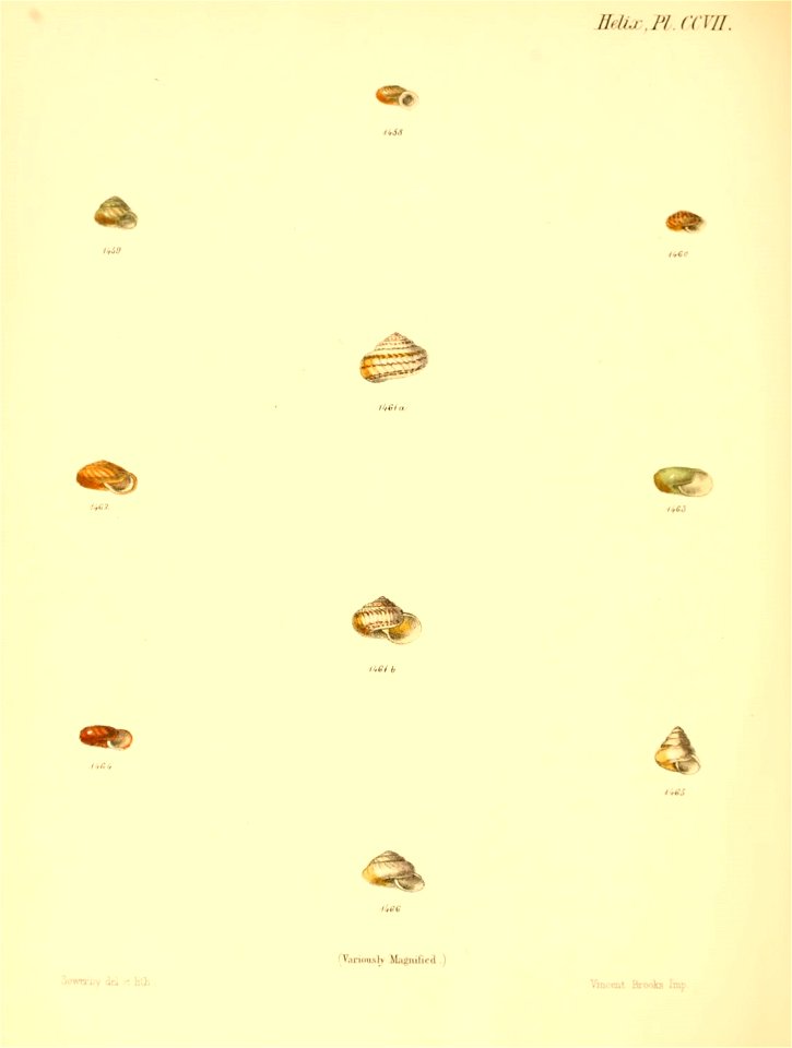 n863_w1150