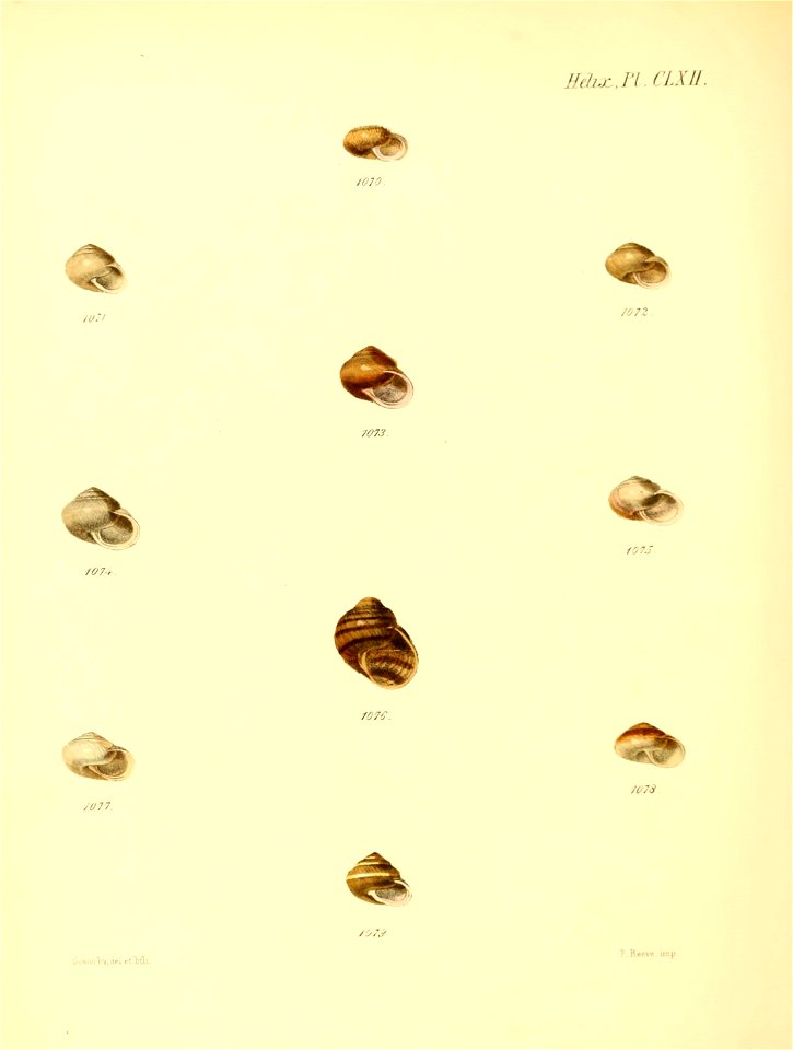 n679_w1150
