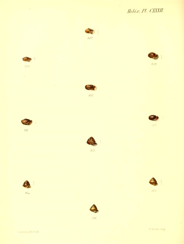 n547_w1150