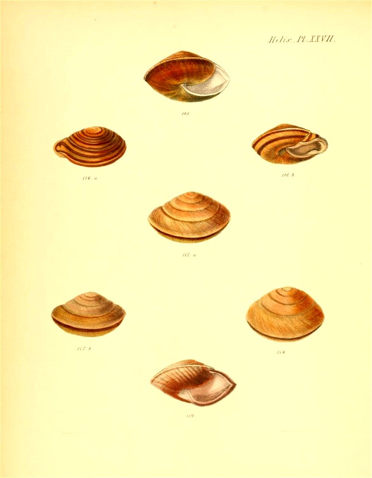 n115_w1150