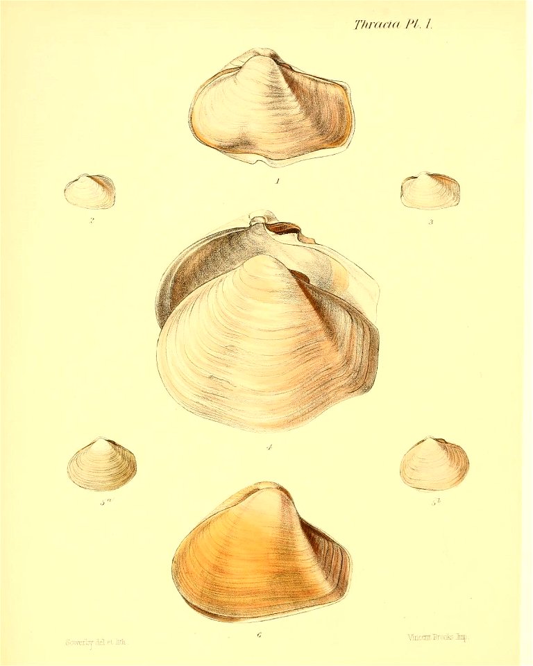 n187_w1150
