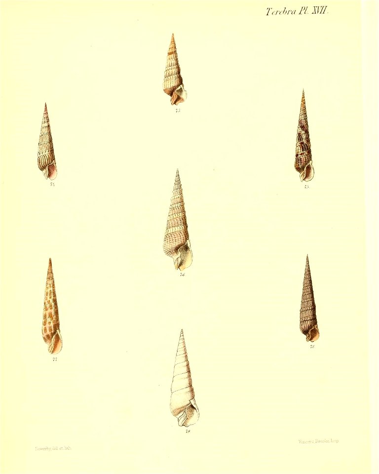 n119_w1150