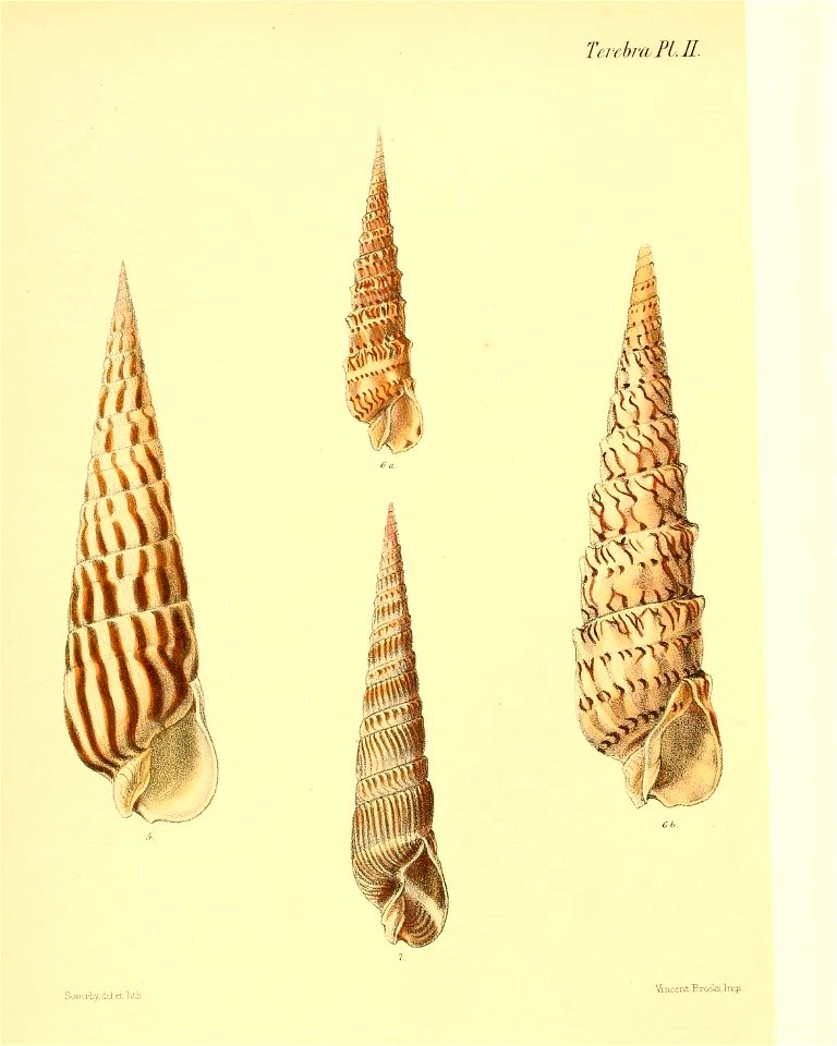 n59_w1150