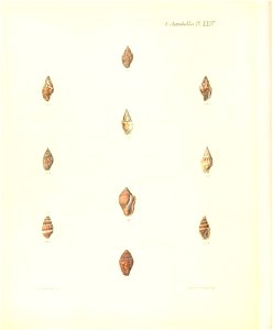 n341_w1150