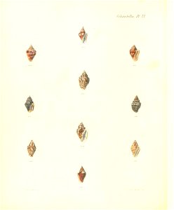 n281_w1150