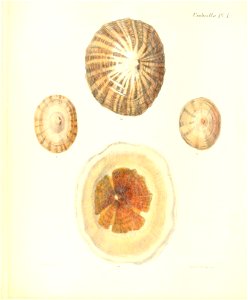 n213_w1150