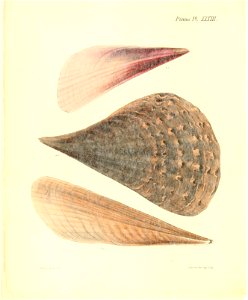 n139_w1150